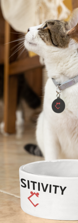 Premium Quality "POSITIVITY" Print Cat Dish 10% Off
