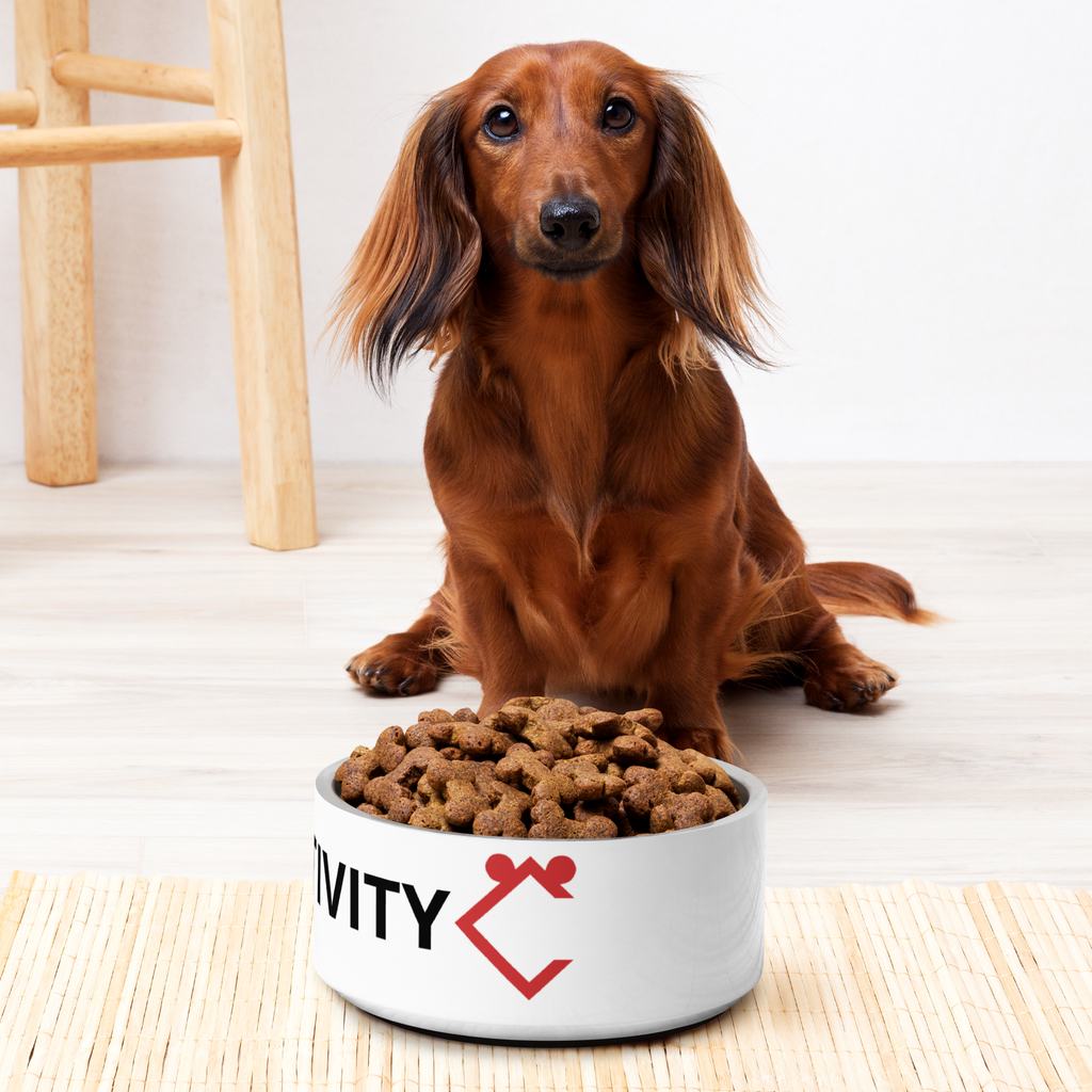 Premium Quality "POSITIVITY" Print Dog Bowl 10% Off